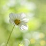 真爱趁现在
